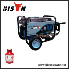 Bison China Zhejiang AVR For Generator Welder Gas Powered Model Engine Generator 5KW Head